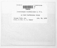 Image Associated With the Occurence